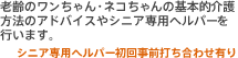 老齢のワンちゃん・ネコちゃんの基本的介護方法のアドバイスやシニア専用ヘルパーを行います。 シニア専用ヘルパー初回事前打ち合わせ有り